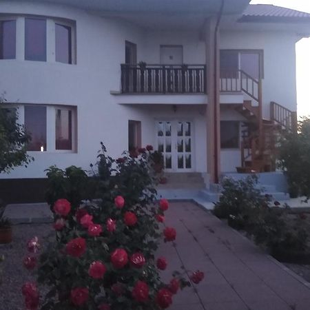 فندق Casa Doina Douăzeci şi Trei August المظهر الخارجي الصورة