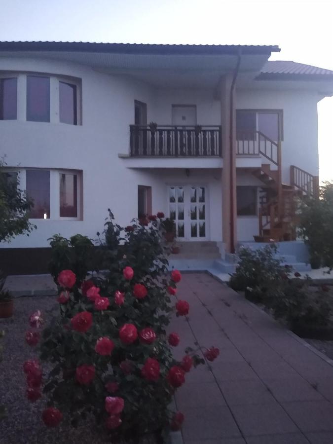 فندق Casa Doina Douăzeci şi Trei August المظهر الخارجي الصورة