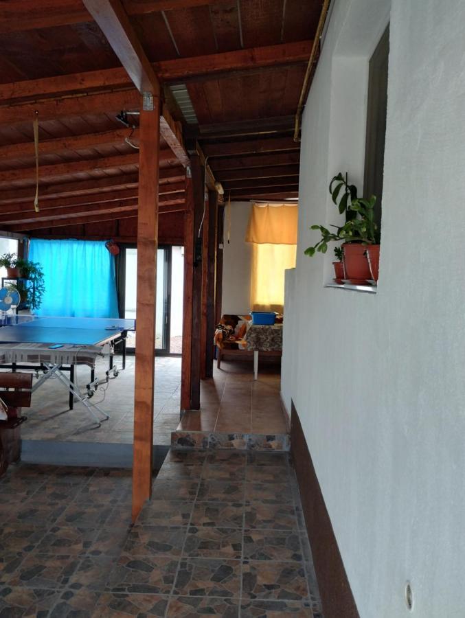 فندق Casa Doina Douăzeci şi Trei August المظهر الخارجي الصورة