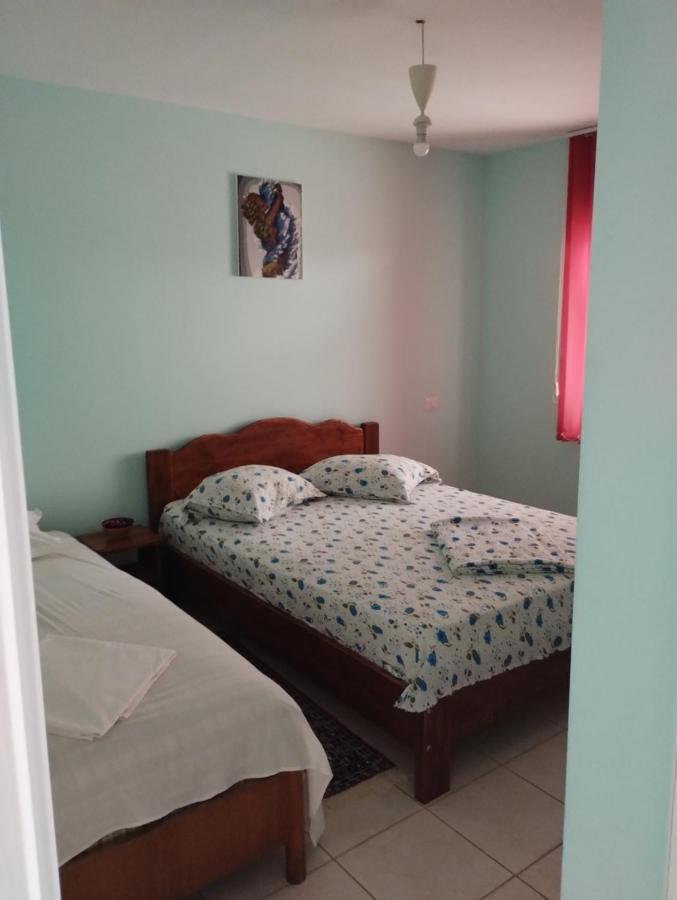 فندق Casa Doina Douăzeci şi Trei August المظهر الخارجي الصورة