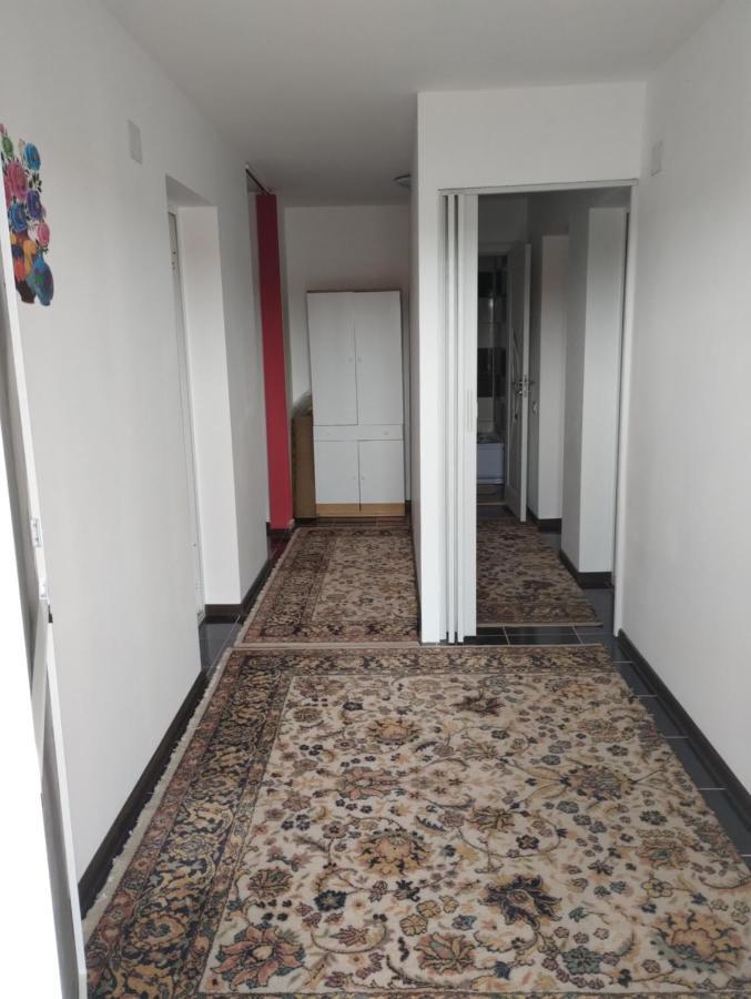 فندق Casa Doina Douăzeci şi Trei August المظهر الخارجي الصورة