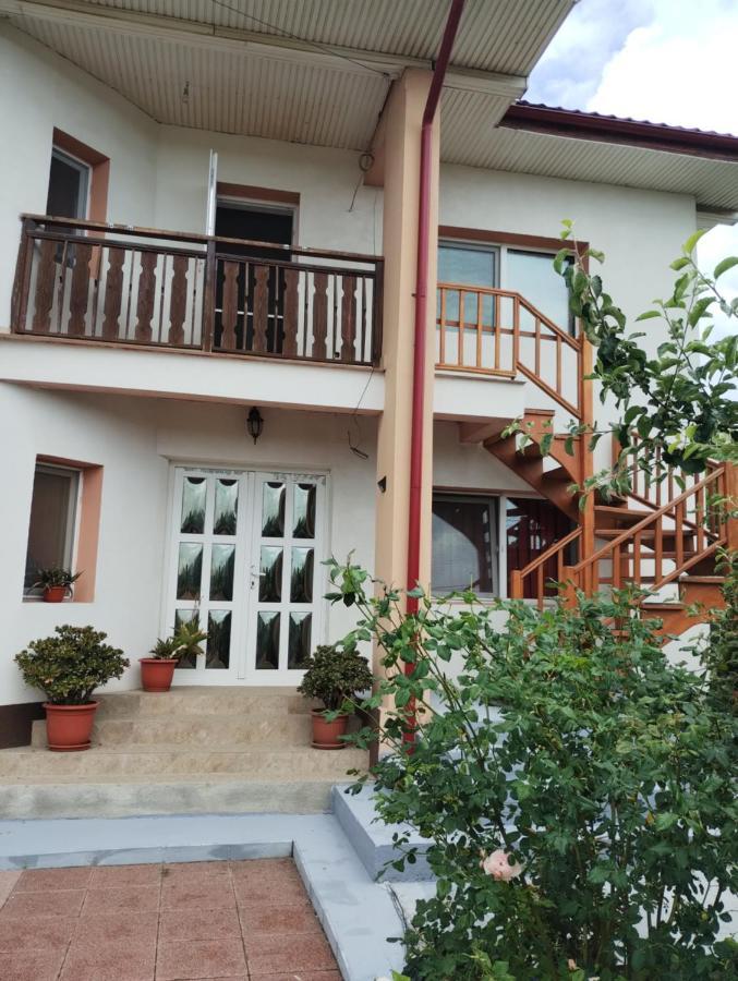 فندق Casa Doina Douăzeci şi Trei August المظهر الخارجي الصورة