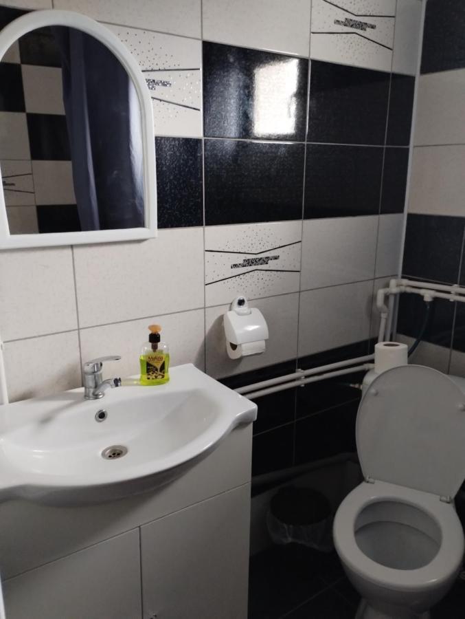 فندق Casa Doina Douăzeci şi Trei August المظهر الخارجي الصورة