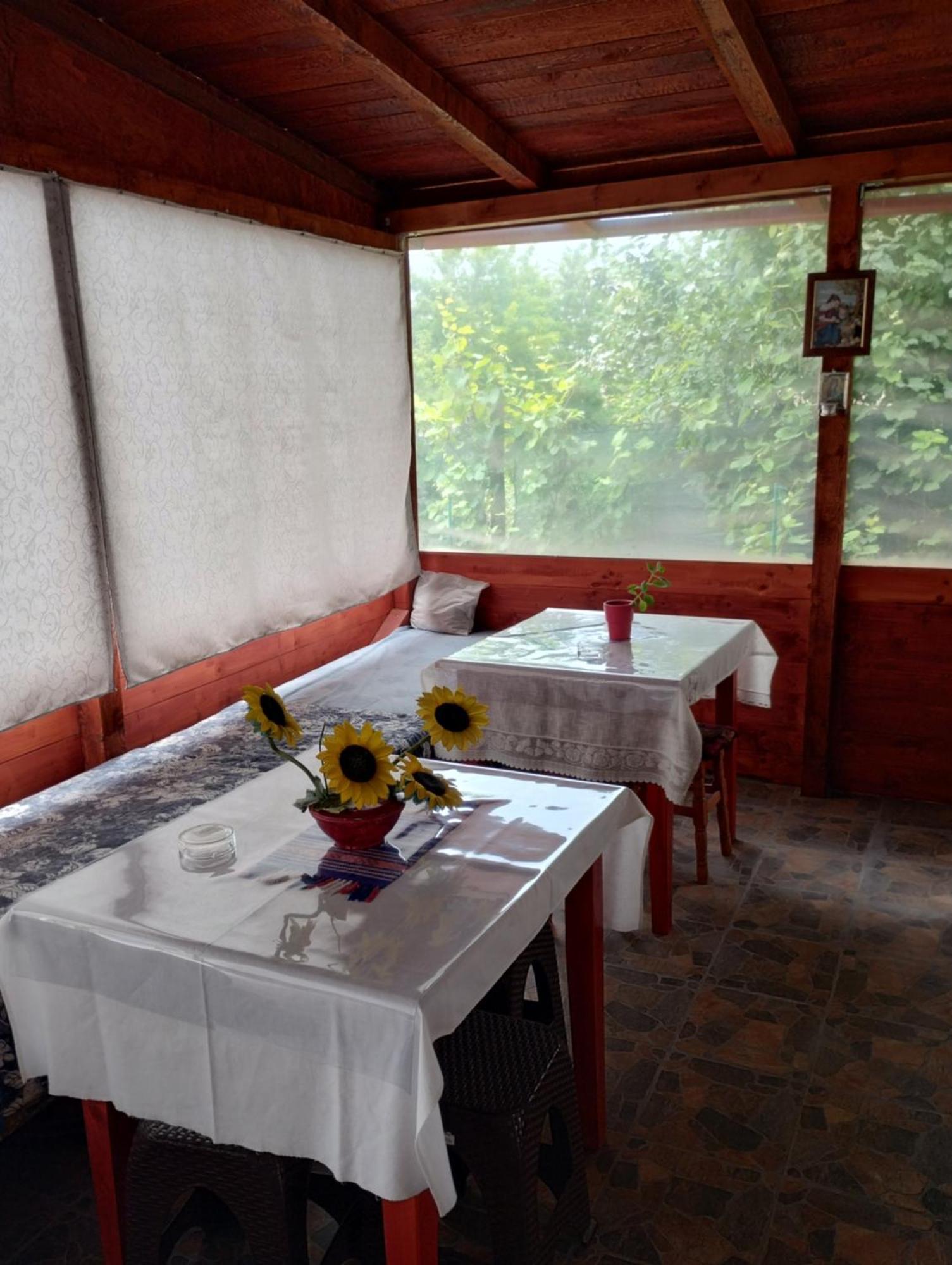 فندق Casa Doina Douăzeci şi Trei August المظهر الخارجي الصورة