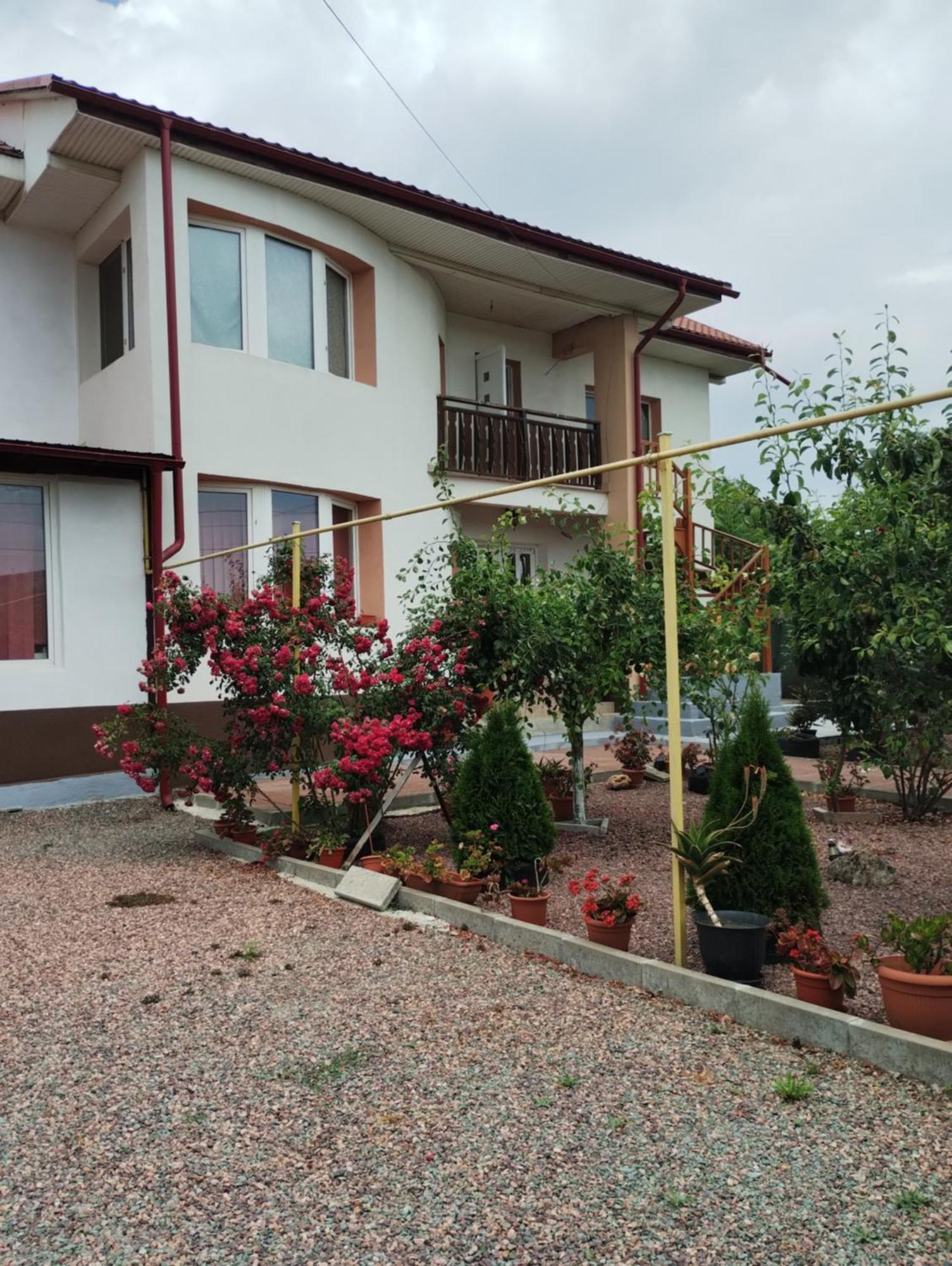 فندق Casa Doina Douăzeci şi Trei August المظهر الخارجي الصورة