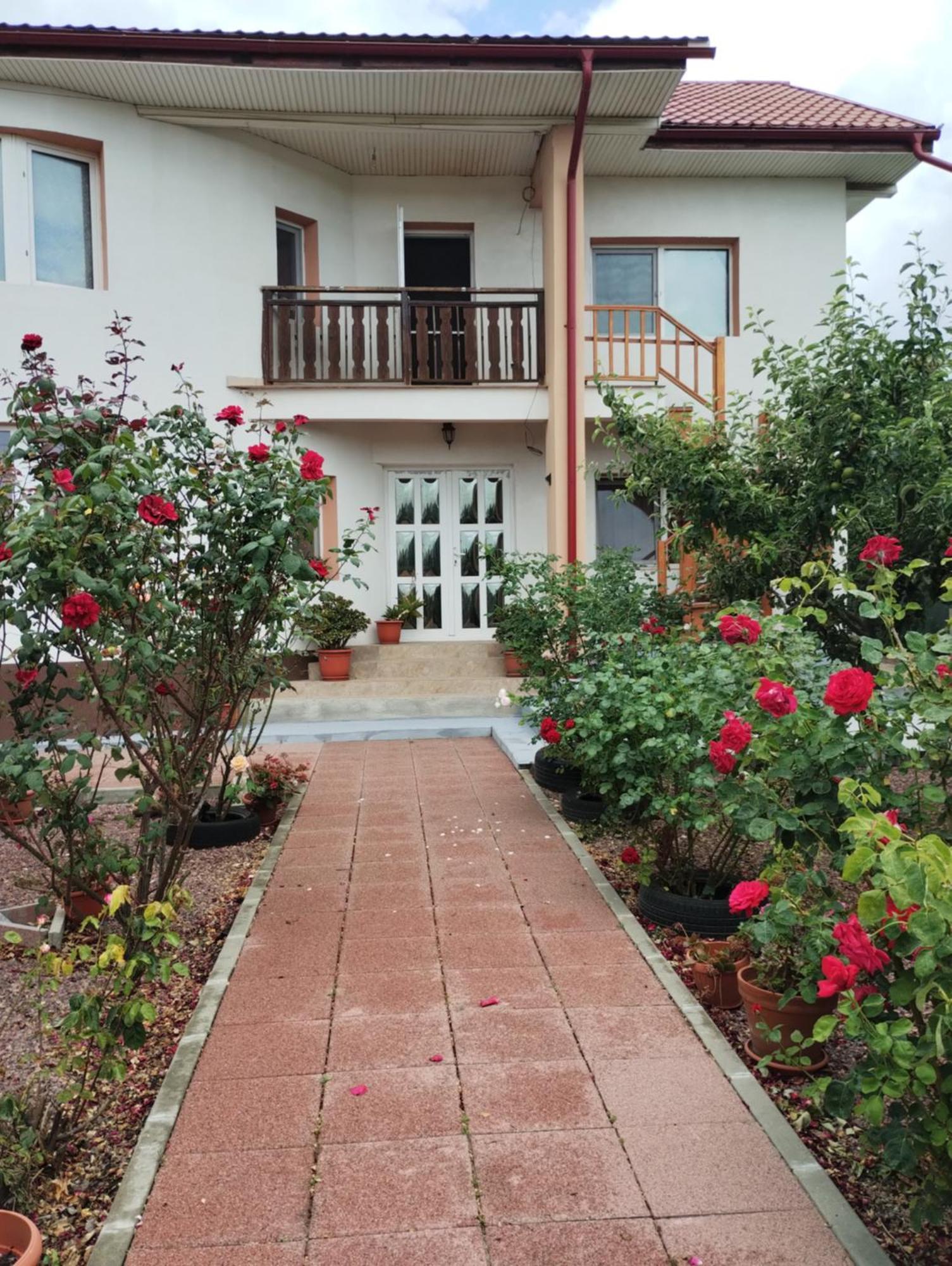 فندق Casa Doina Douăzeci şi Trei August المظهر الخارجي الصورة