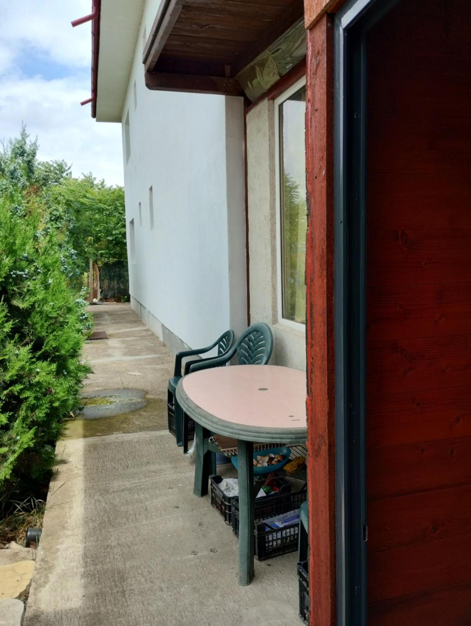 فندق Casa Doina Douăzeci şi Trei August المظهر الخارجي الصورة